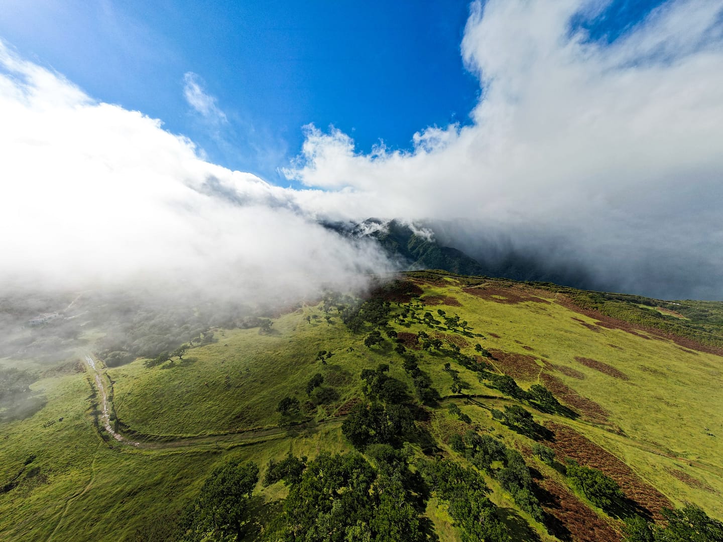 🌴 5-Day Baby-Friendly Madeira Itinerary: Where to Stay, Eat & Explore as a Family